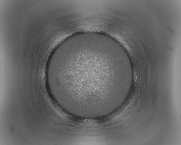 X0000111900487200908031120