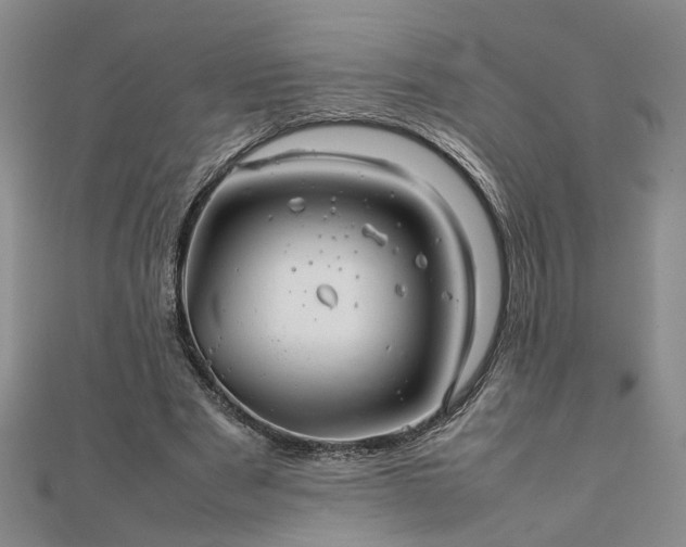 X0000111900489200908031120