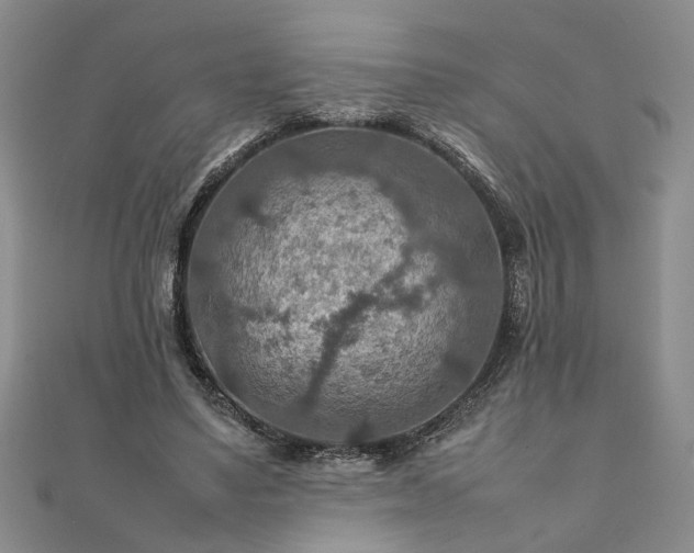 X0000111900491200908031120