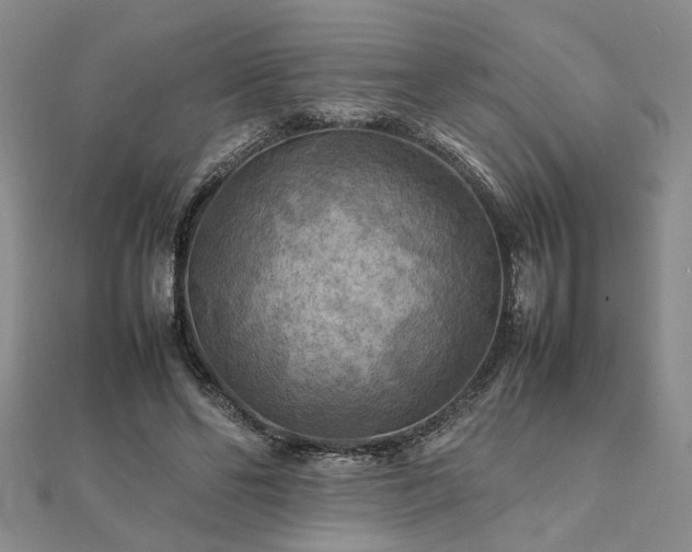 X0000111900494200908031120