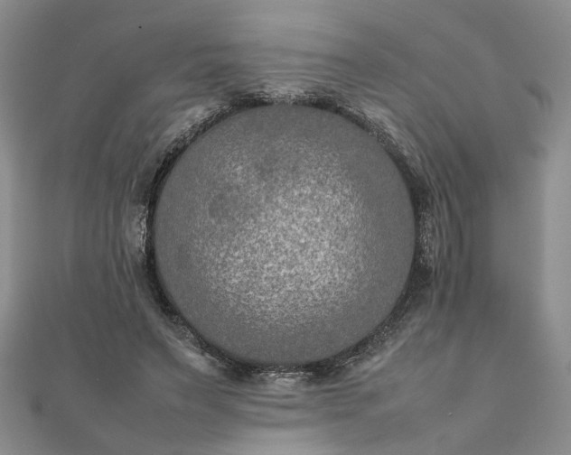 X0000111900495200908031120