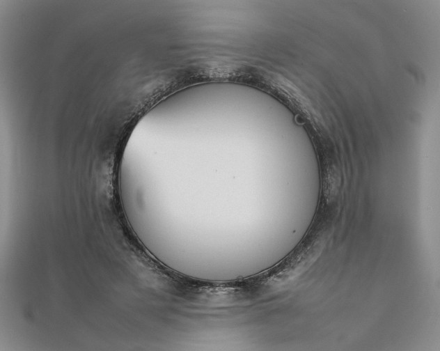 X0000111900497200908031120