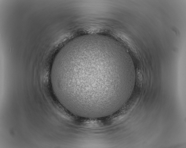 X0000111900499200908031120