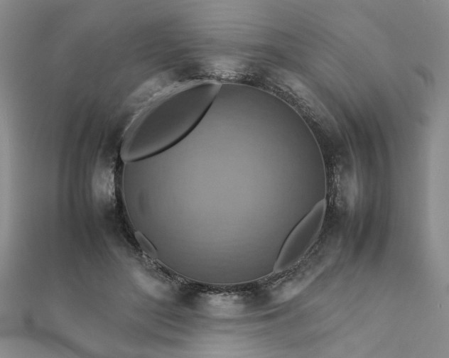 X0000111900500200908031120