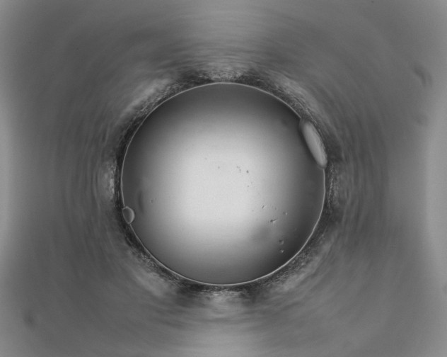 X0000111900501200908031120