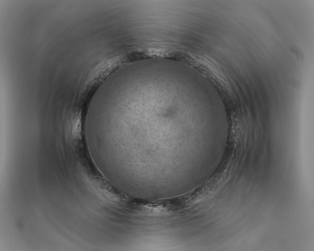 X0000111900502200908031120