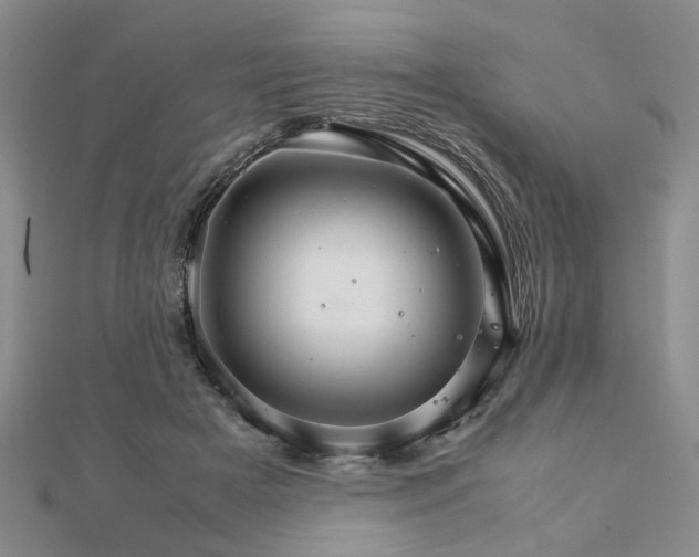 X0000111900505200908031120