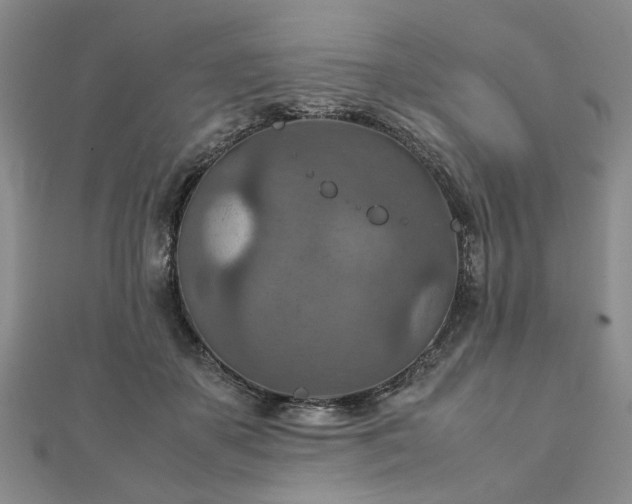 X0000111900507200908031120