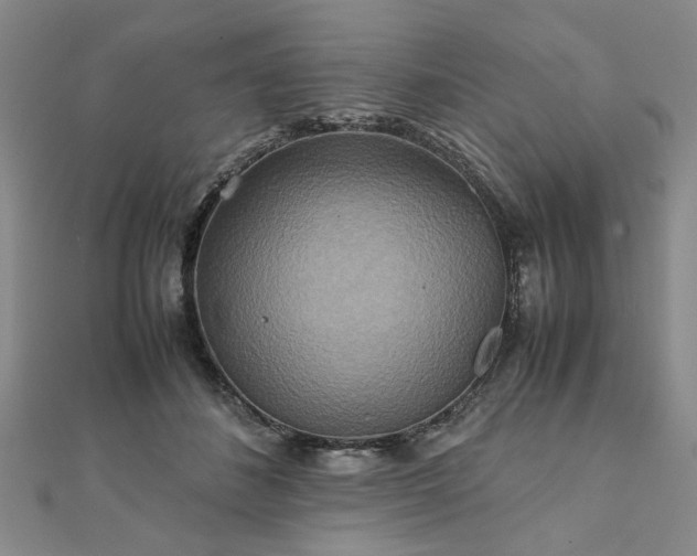 X0000111900508200908031120