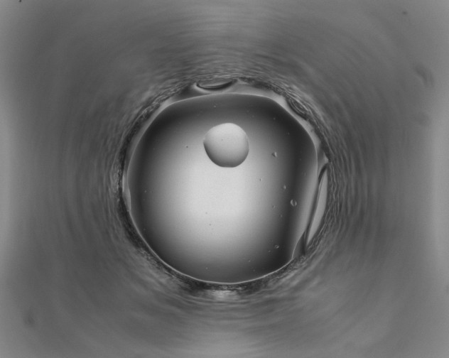 X0000111900509200908031120