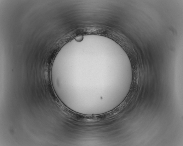 X0000111900510200908031120