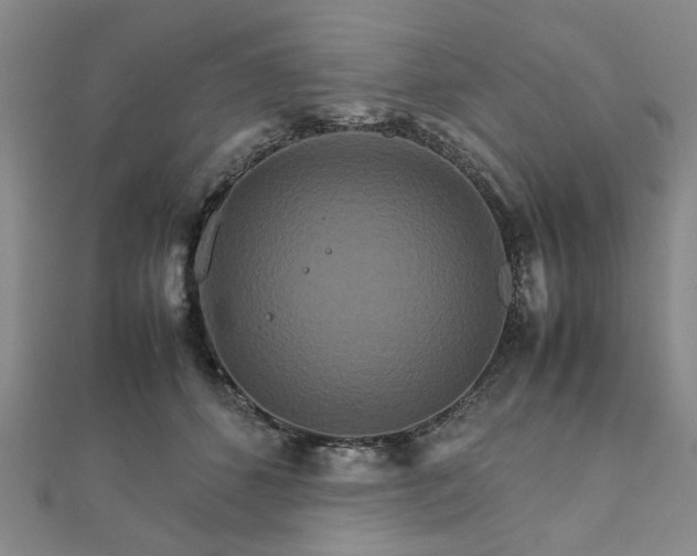 X0000111900512200908031120