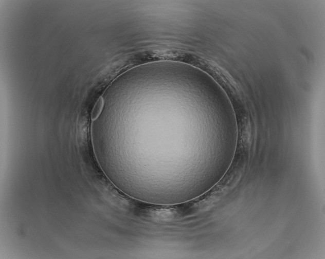 X0000111900513200908031120