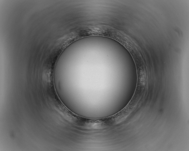 X0000111900514200908031120