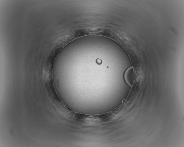 X0000111900515200908031120