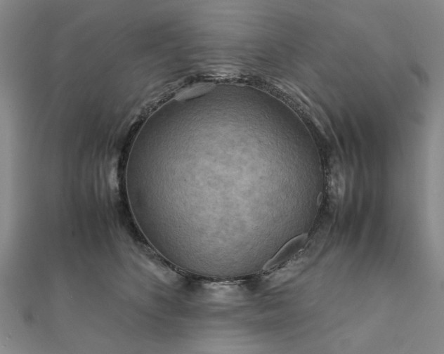 X0000111900516200908031120