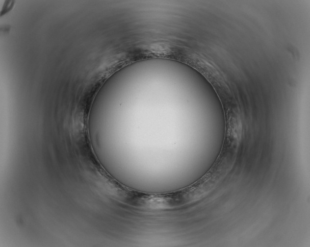 X0000111900518200908031120