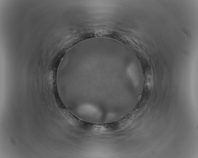 X0000111900519200908031120