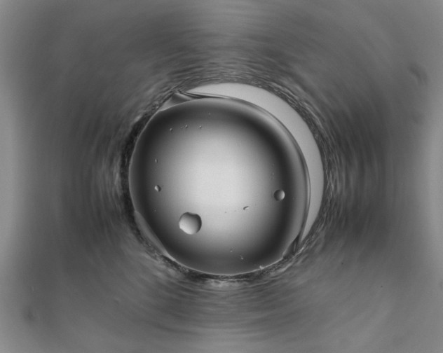 X0000111900520200908031120