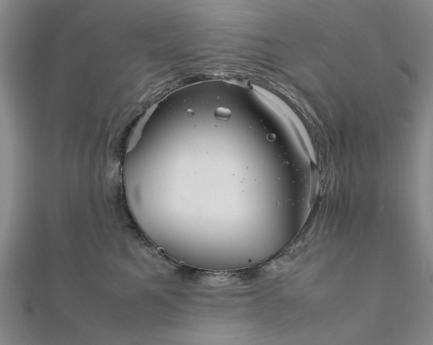 X0000111900521200908031120