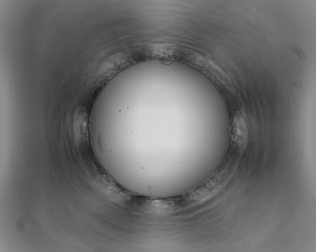 X0000111900522200908031119