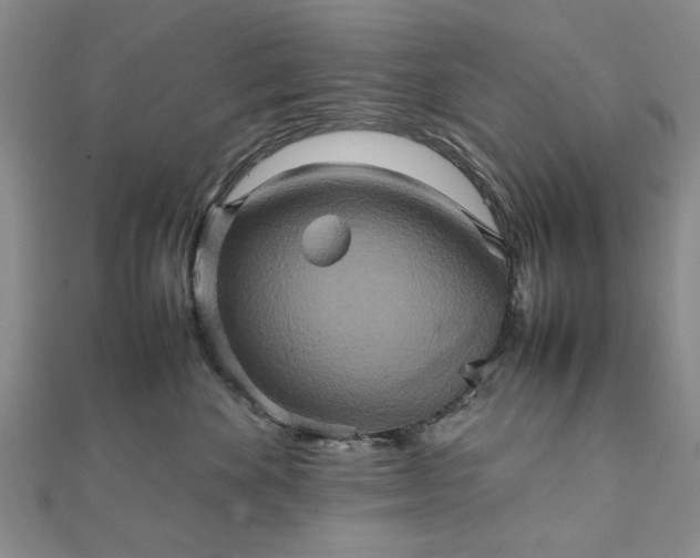 X0000111900524200908031119