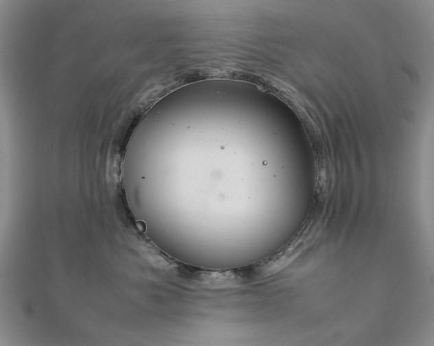 X0000111900525200908031119