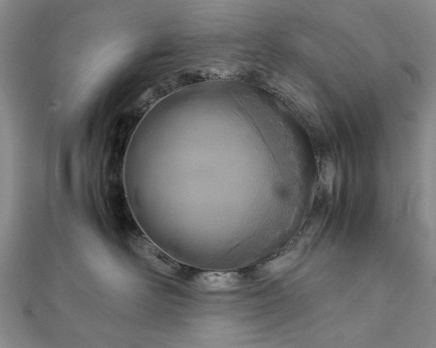 X0000111900526200908031119