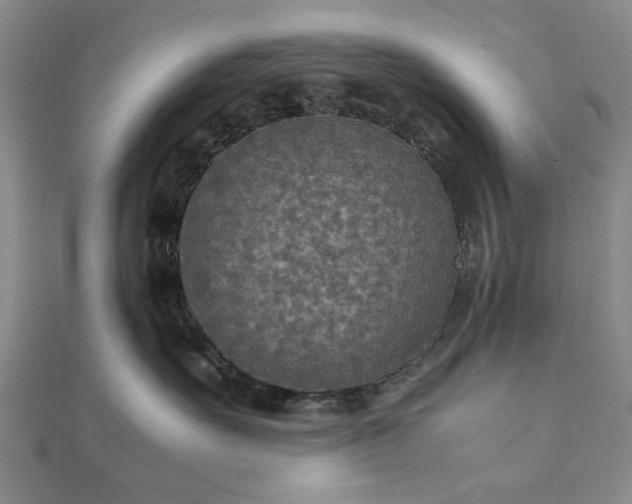 X0000111900527200908031119