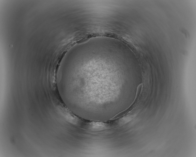 X0000111900528200908031119