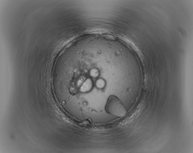 X0000111900529200908031119