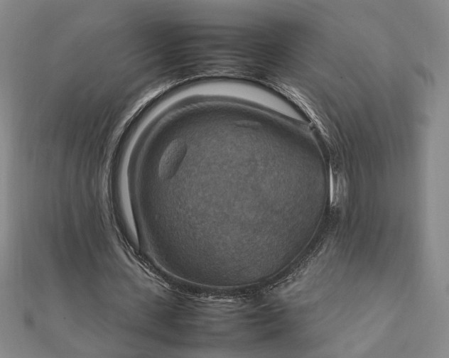 X0000111900531200908031119