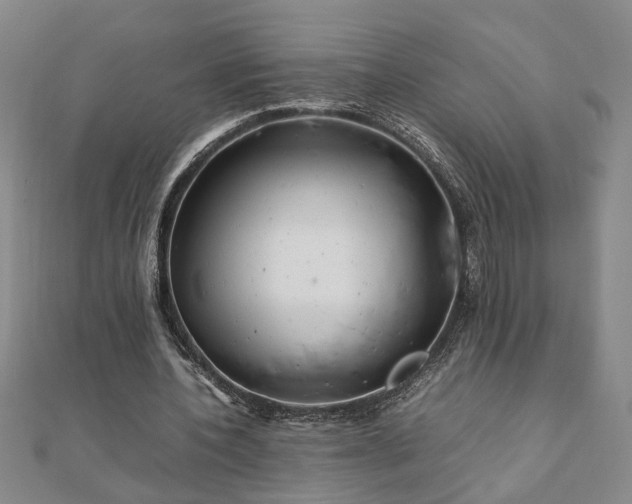 X0000111900532200908031119