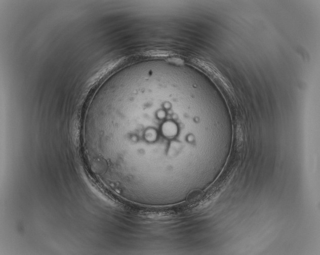 X0000111900533200908031119