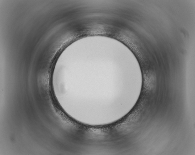 X0000111900534200908031119