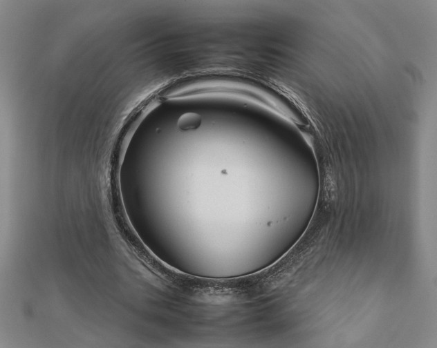 X0000111900535200908031119