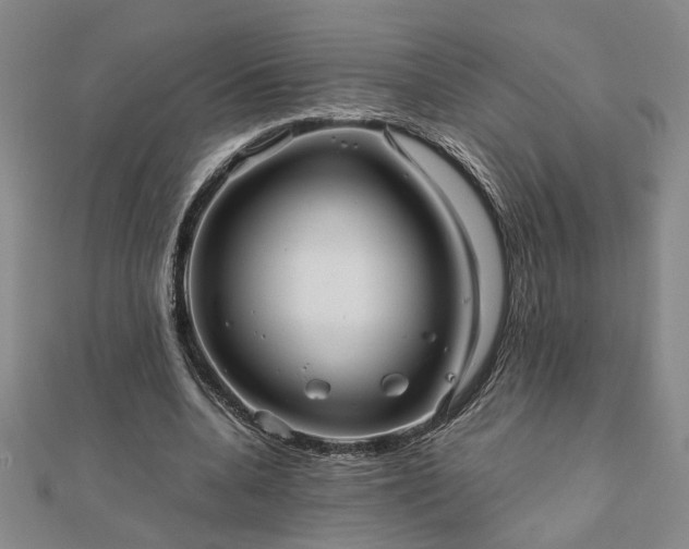 X0000111900536200908031119