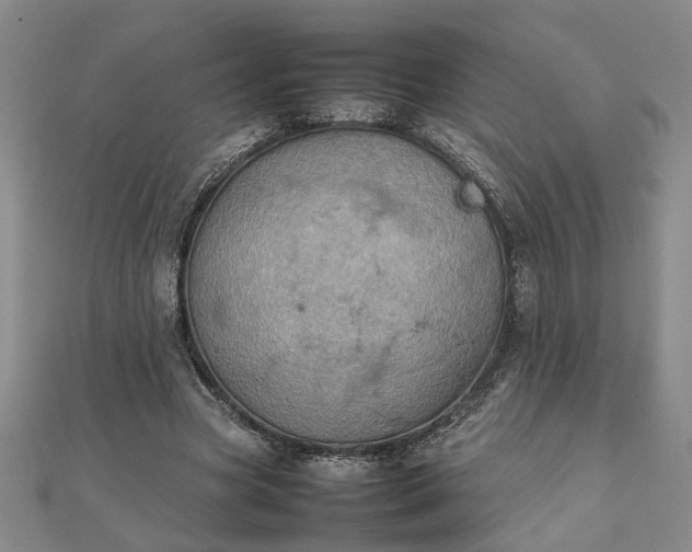 X0000111900537200908031119