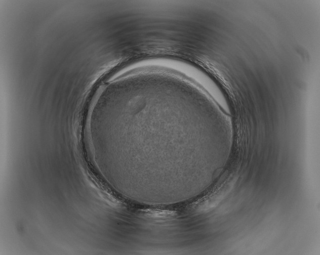 X0000111900539200908031119