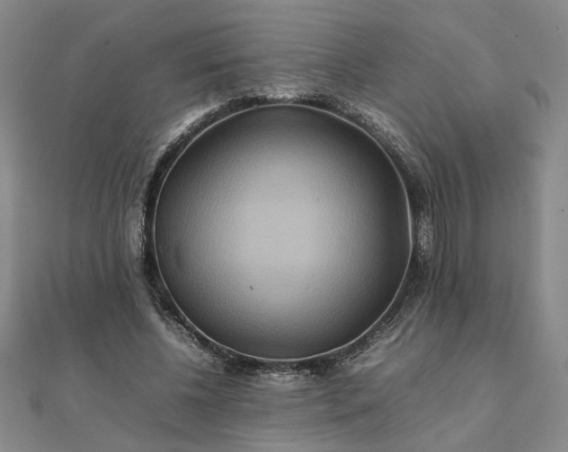 X0000111900540200908031119