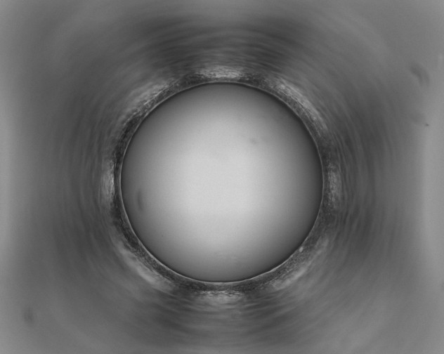 X0000111900541200908031119