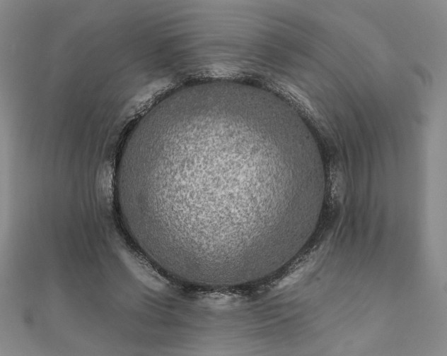 X0000111900542200908031119