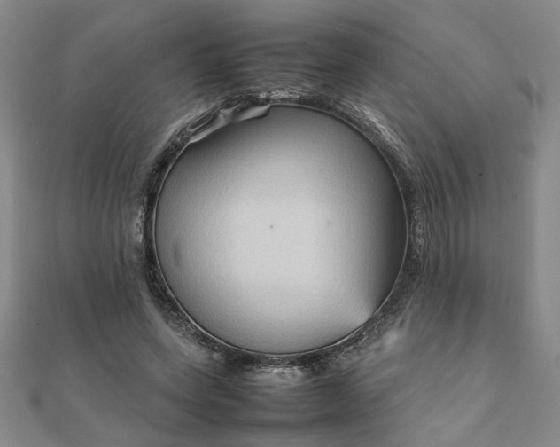 X0000111900543200908031119