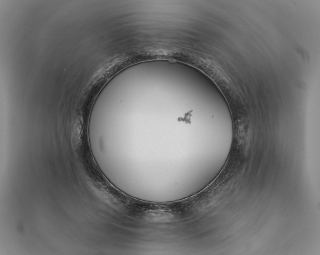 X0000111900544200908031119