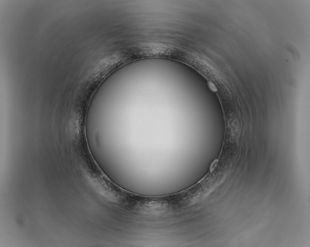 X0000111900546200908031119