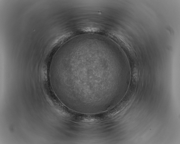 X0000111900547200908031119