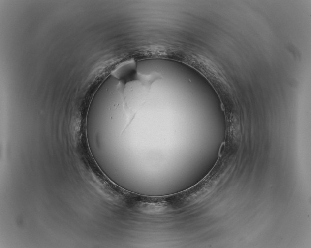 X0000111900548200908031119