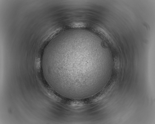 X0000111900549200908031119