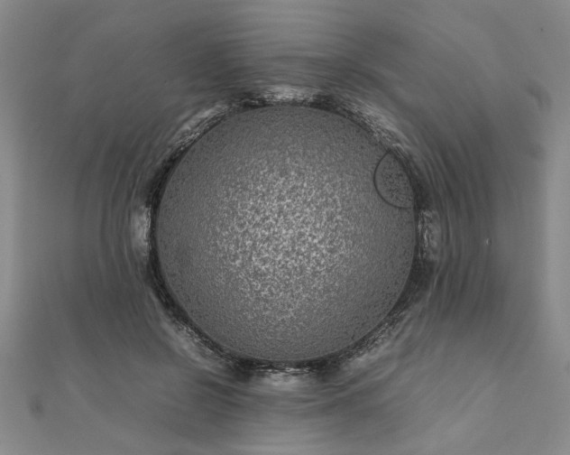 X0000111900550200908031119