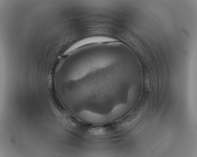 X0000111900551200908031119